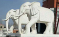 石雕大象適合擺放在哪里？